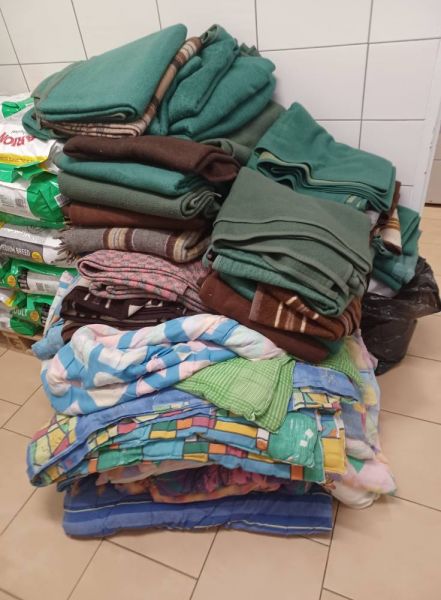 Wspieramy Schronisko w Tomarynach – razem możemy więcej!